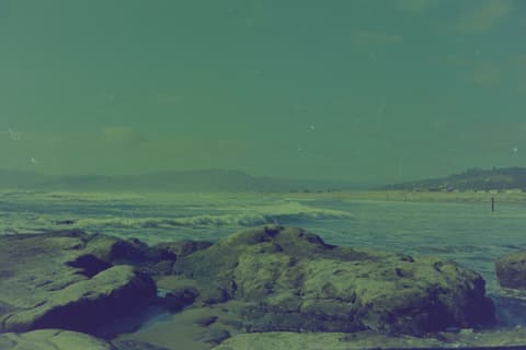 The Oregon Coast, Part I, 17 April 1974, photograph 4 of 12
