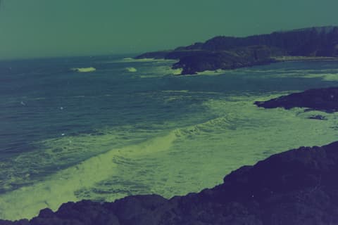 The Oregon Coast, Part I, 17 April 1974, photograph 5 of 12