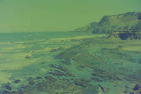 The Oregon Coast, Part I, 17 April 1974, photograph 8 of 12