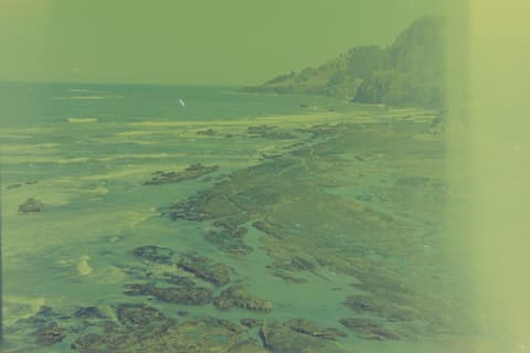 The Oregon Coast, Part II, 17 April 1974, photograph 4 of 10