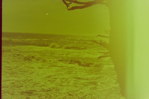 The Oregon Coast, Part III, 17 April 1974, photograph 3 of 3