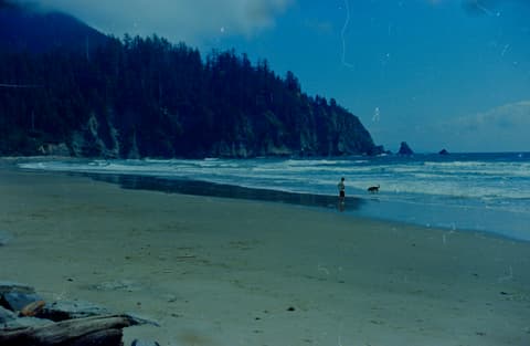 The Oregon Coast & Grimes Creek, June 1972, photograph 3 of 7