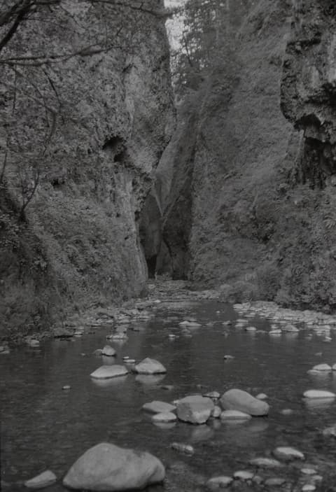 The Oregon Coast & the Zoo, August 1972, photograph 1 of 7