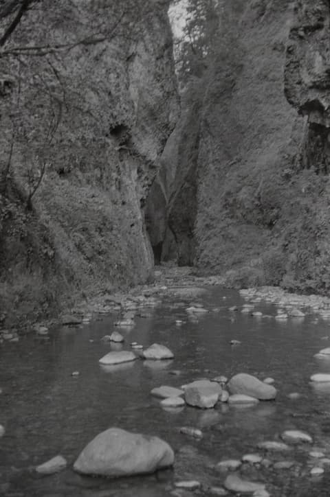 The Oregon Coast & the Zoo, August 1972, photograph 2 of 7