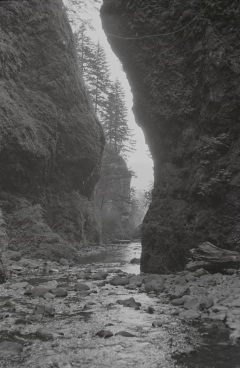 The Oregon Coast & the Zoo, August 1972, photograph 3 of 7