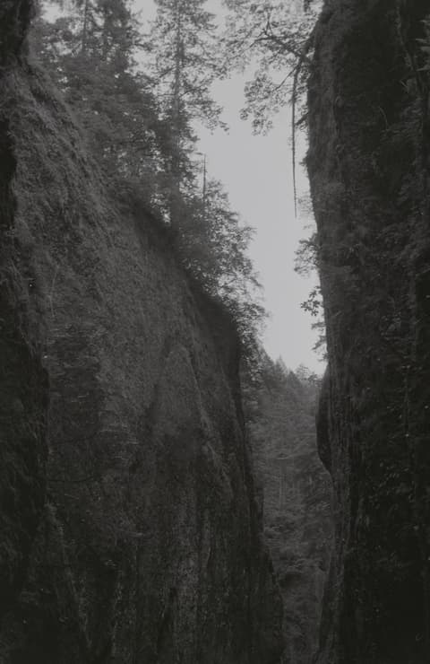 The Oregon Coast & the Zoo, August 1972, photograph 4 of 7