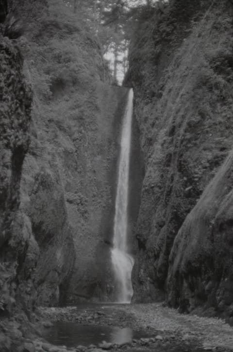The Oregon Coast & the Zoo, August 1972, photograph 5 of 7