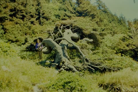 Oregon Vacation, Part I, June 1971, photograph 4 of 5