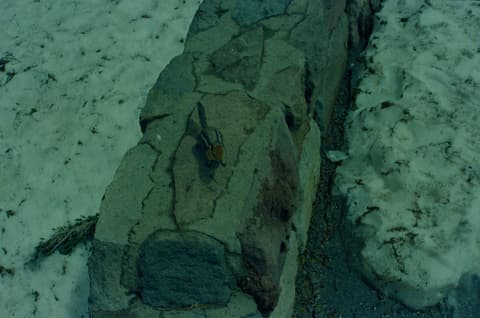 Oregon Vacation, Part II, June 1971, photograph 4 of 7
