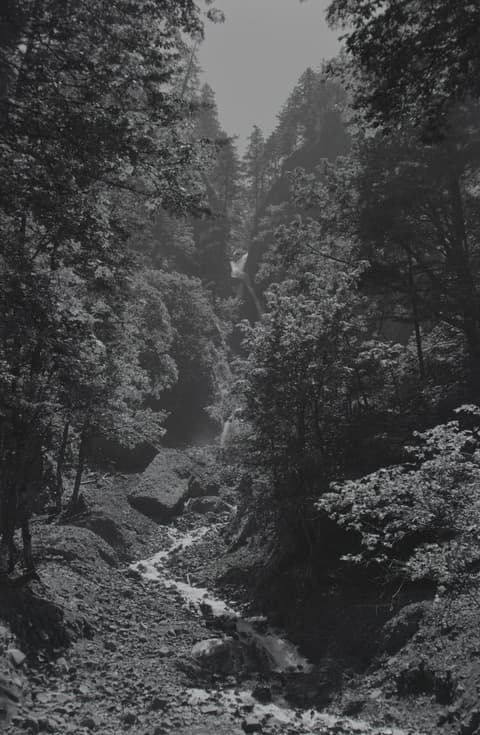 Oregon Vacation, Part III, 28 June 1971, photograph 5 of 10