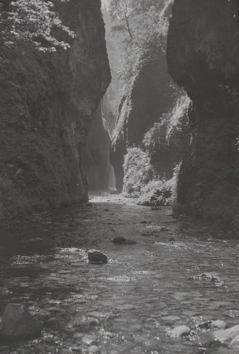 Oregon Vacation, Part IV, 28 June 1971, photograph 5 of 13