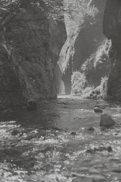 Oregon Vacation, Part IV, 28 June 1971, photograph 6 of 13