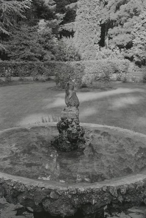 Oregon Vacation, Part V, June 1972, photograph 3 of 13