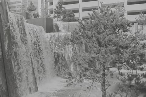 Oregon Vacation, Part V, June 1972, photograph 9 of 13
