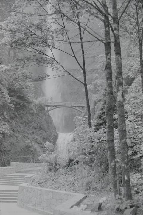Oregon Vacation & Grimes Creek, July 1972, photograph 19 of 20