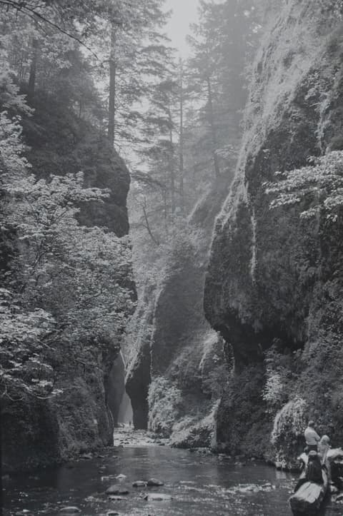 Oregon Vacation & Grimes Creek, July 1972, photograph 20 of 20