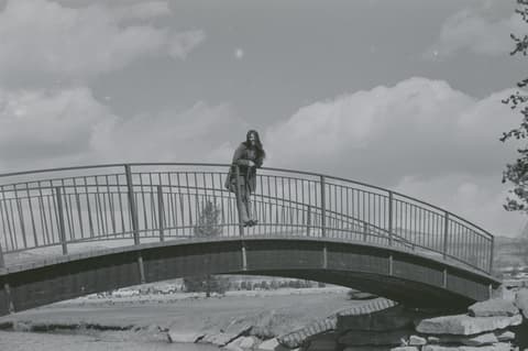 Cats in the Park, April 1971, photograph 4 of 15