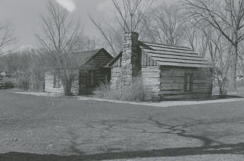 Cats in the Park, April 1971, photograph 7 of 15