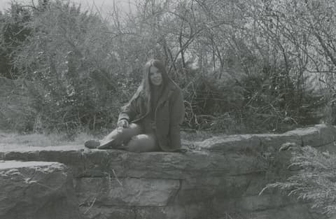 Cats in the Park, April 1971, photograph 11 of 15