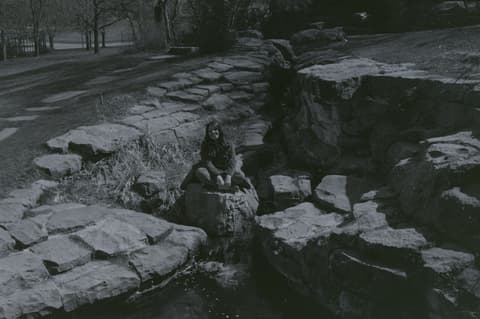 Cats in the Park, April 1971, photograph 13 of 15