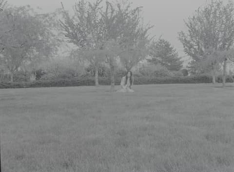 Carolyn & Me, in the Park, May 1971, photograph 2 of 3