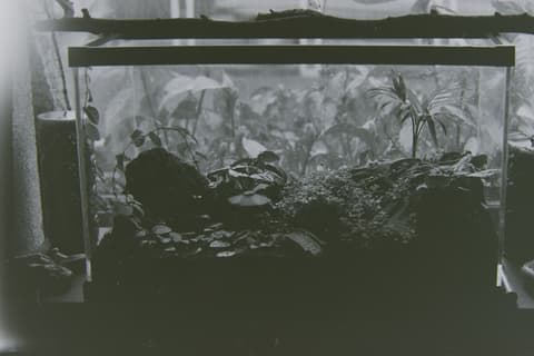 Portland in the Fog, March 1974, photograph 4 of 13