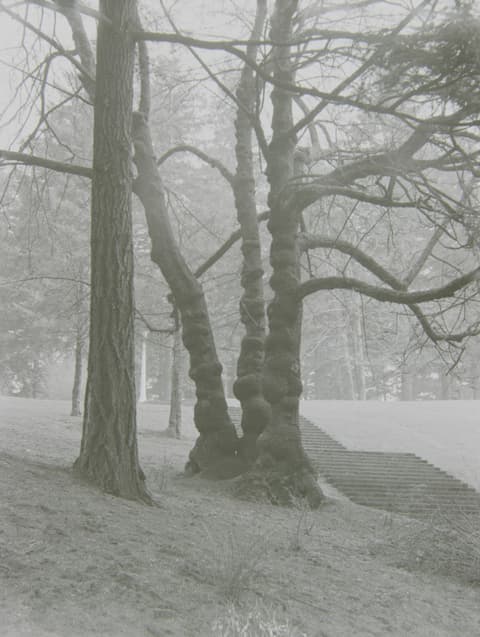 Portland in the Fog, March 1974, photograph 5 of 13