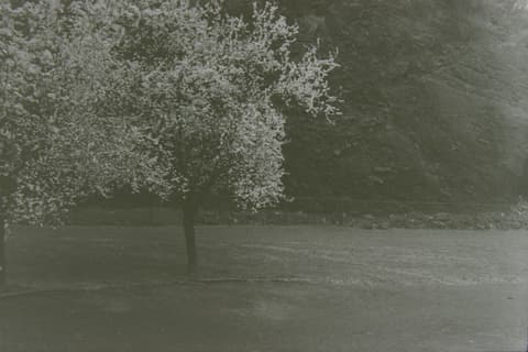 Portland in the Fog, March 1974, photograph 7 of 13