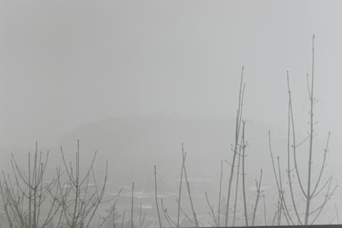 Portland in the Fog, March 1974, photograph 10 of 13
