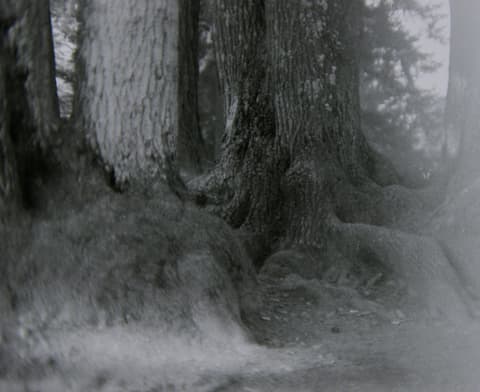 Portland in the Fog, March 1974, photograph 12 of 13