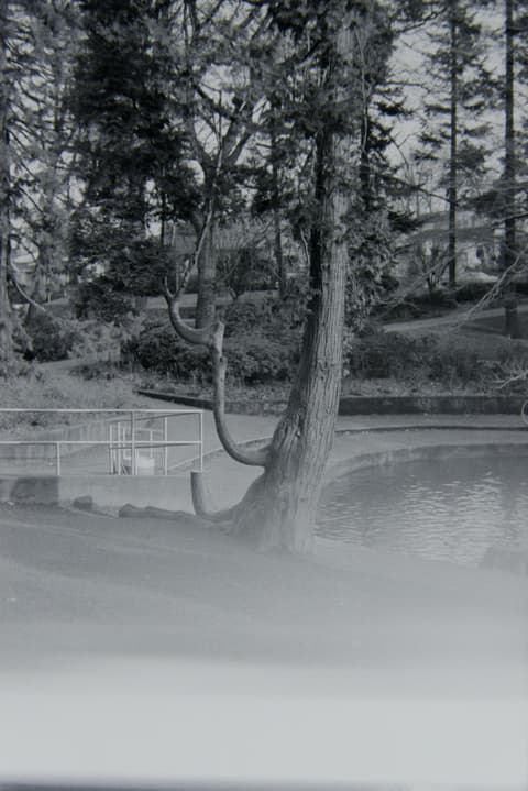 Portland Parks, February 1974, photograph 12 of 13