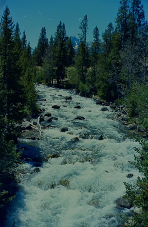 Redfish Lake, August 1972, photograph 6 of 8