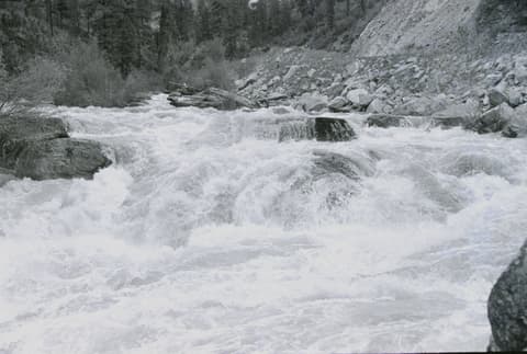 Silver City & Friends, 1 June 1971, photograph 1 of 20