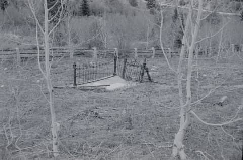 Silver City & Friends, 1 June 1971, photograph 8 of 20