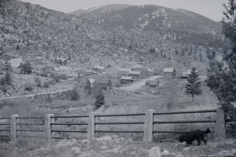 Silver City & Friends, 1 June 1971, photograph 9 of 20