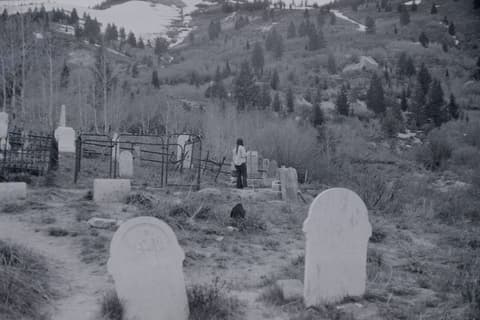 Silver City & Friends, 1 June 1971, photograph 16 of 20
