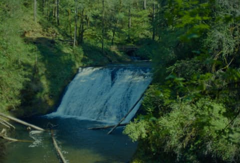 Silver Falls, May 1973, photograph 2 of 7