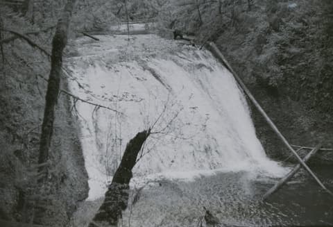 Silver Falls & Eagle Creek, May 1973, photograph 1 of 13