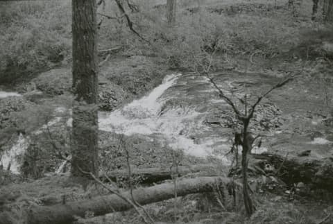 Silver Falls & Eagle Creek, May 1973, photograph 4 of 13