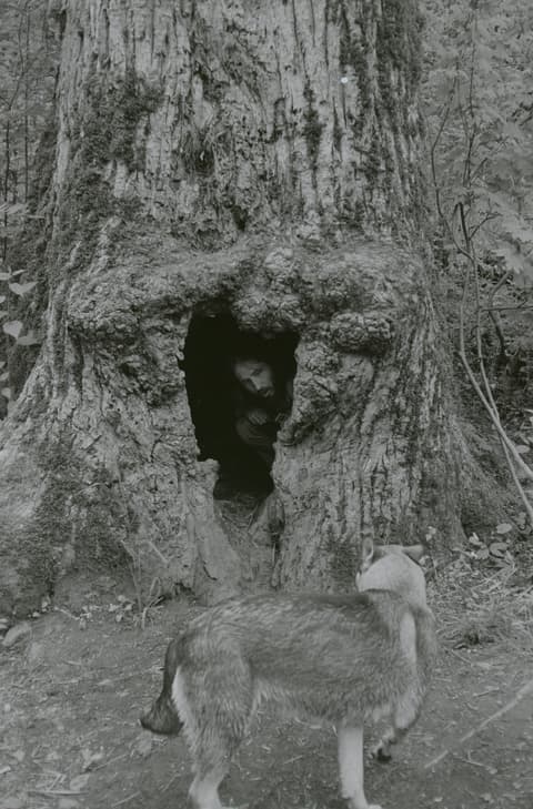 Silver Falls & Eagle Creek, May 1973, photograph 7 of 13