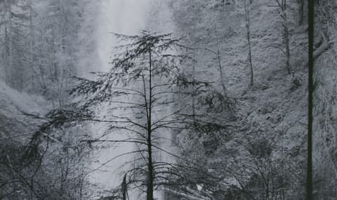 Silver Falls & Eagle Creek, May 1973, photograph 10 of 13