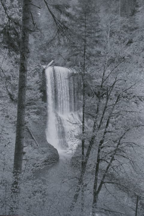 Silver Falls & Eagle Creek, May 1973, photograph 13 of 13