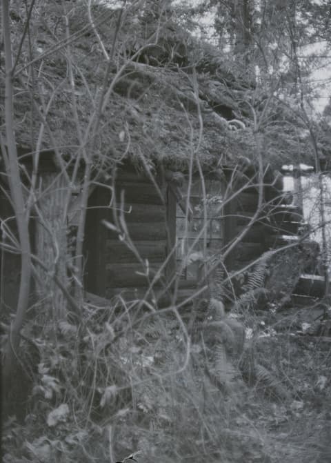 Snow, Christmas, the Zoo & Mt. Hood, April 1973, photograph 3 of 21