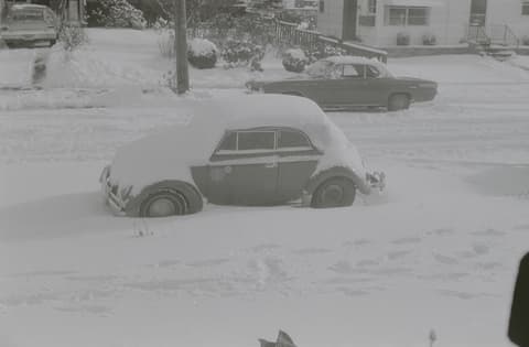 Snow, Christmas, the Zoo & Mt. Hood, April 1973, photograph 10 of 21