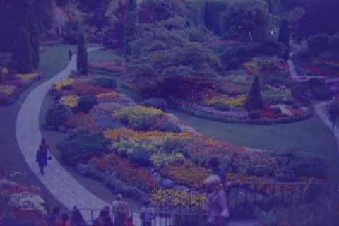 Victoria: Totems, Parliament & Butchart Gardens, September 1973, photograph 13 of 18
