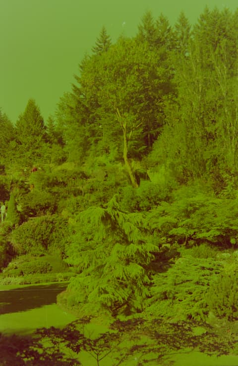 Back to Victoria, 16 July 1974, photograph 3 of 6