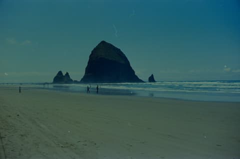 The Zoo & the Coast, May 1973, photograph 2 of 10