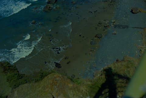 The Zoo & the Coast, May 1973, photograph 6 of 10