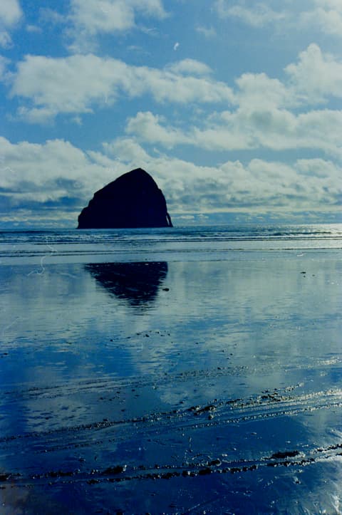 The Zoo & the Coast, May 1973, photograph 8 of 10
