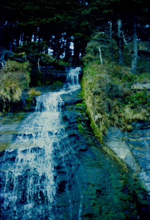 The Zoo & the Coast, May 1973, photograph 9 of 10